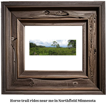 horse trail rides near me in Northfield, Minnesota